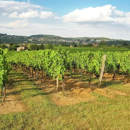 Cethi Hébergement de vacances Calamane