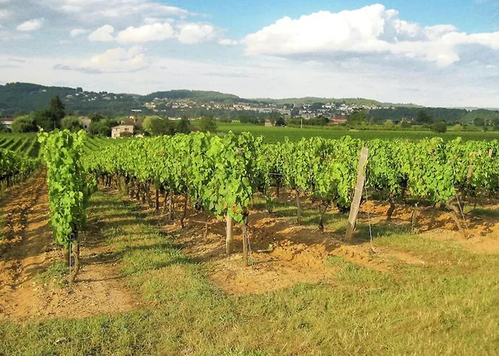 Cethi Σπίτι διακοπών Calamane